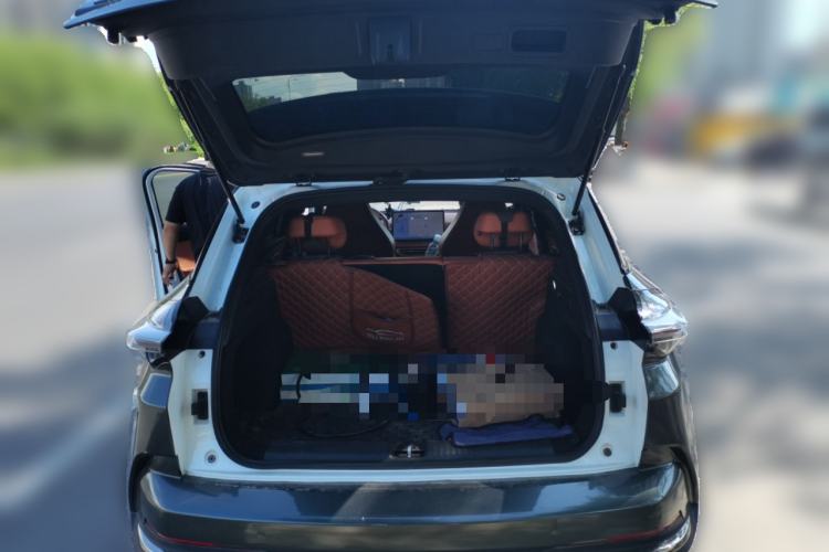 Used NETA X 2023 500 Lite Trunk