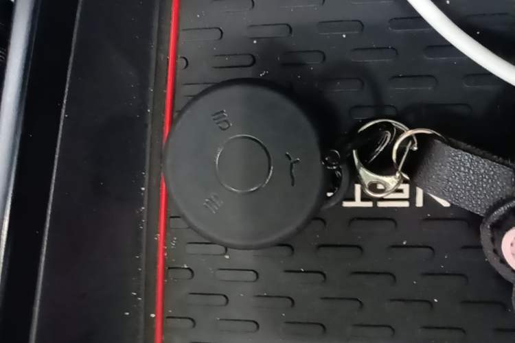 Used NETA X 2023 500 Vehicle Key