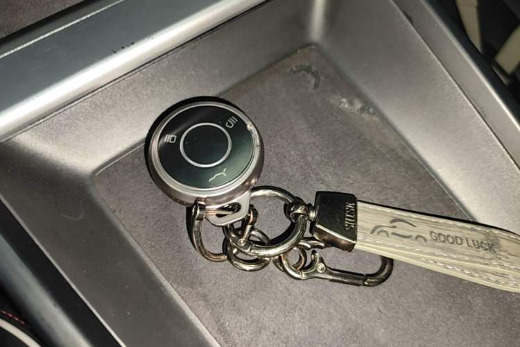Used NETA X 2023 400 Lite Vehicle Key