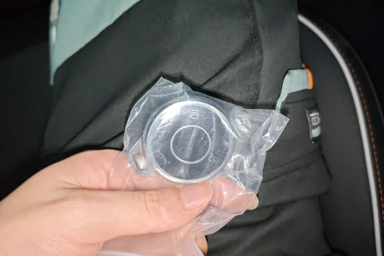 Used NETA X 2023 500 Lite Vehicle Key