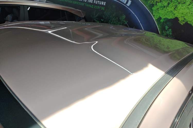 Used NETA X 2023 400 Lite Roof