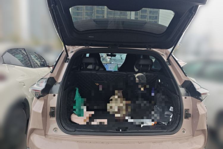 Used NETA X 2023 500 Lite Trunk