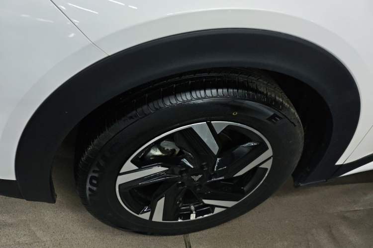 Used NETA X 2023 400 Lite Exterior 4