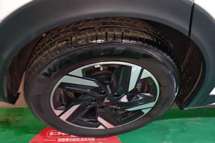 Used NETA X 2023 400 Lite Exterior 5