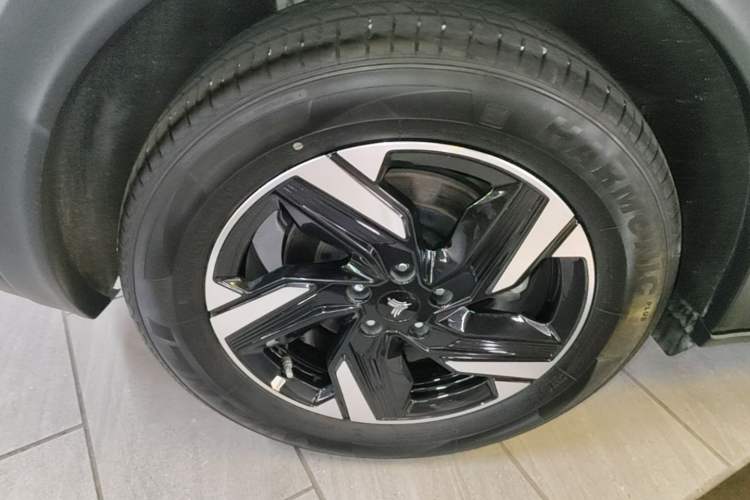 Used NETA X 2023 500 Lite Exterior 5