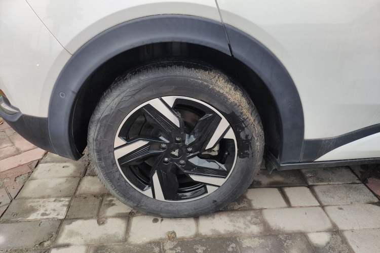 Used NETA X 2023 500 Exterior 5