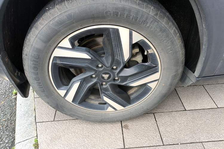 Used NETA X 2023 500 Lite Exterior 5