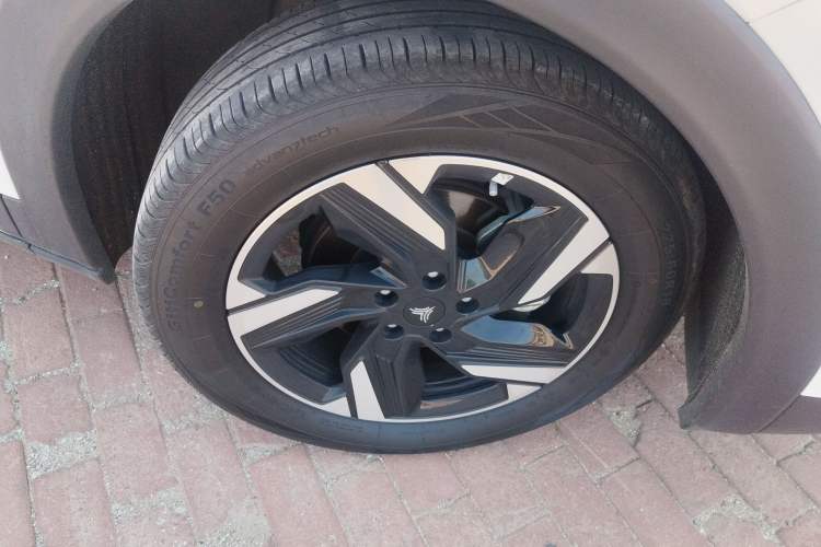 Used NETA X 2023 500 Lite Exterior 7