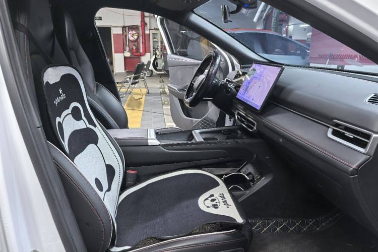 Used NETA X 2023 400 Lite Interior 2
