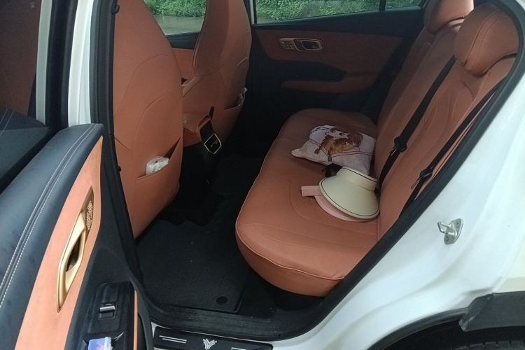 Used NETA X 2023 400 Lite Interior 4