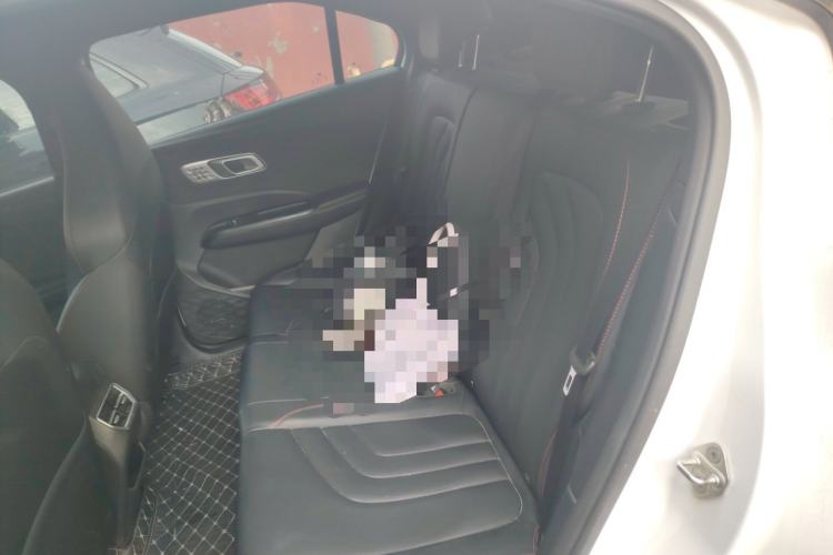 Used NETA X 2023 400 Lite Interior 4