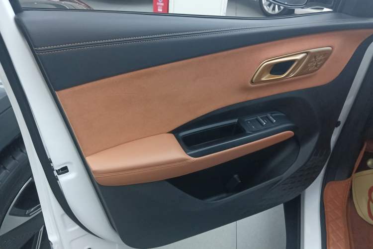 Used NETA X 2023 500 Left Front Door Interior