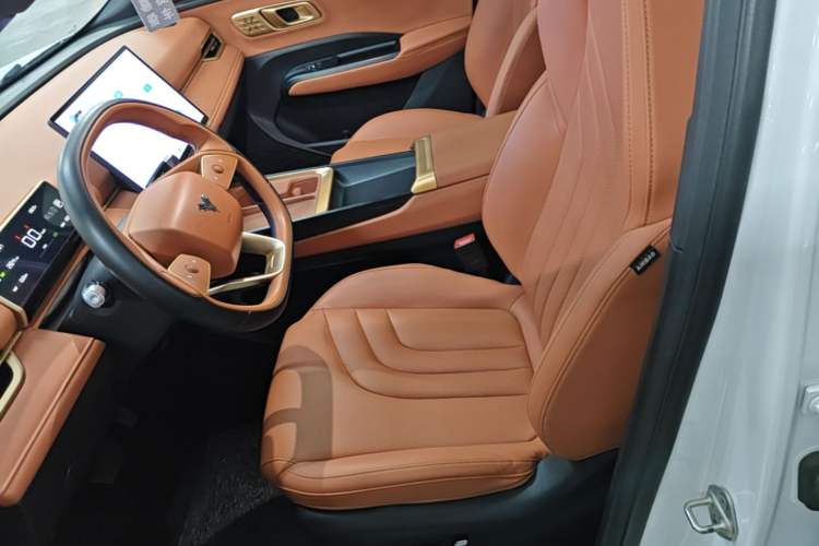 Used NETA X 2023 500 Left Front Seat