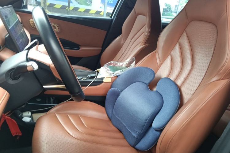 Used NETA X 2023 400 Lite Left Front Seat