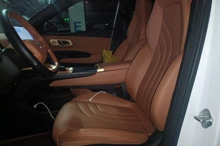 Used NETA X 2023 500 Lite Left Front Seat