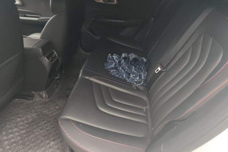 Used NETA X 2023 400 Lite Left Rear Seat