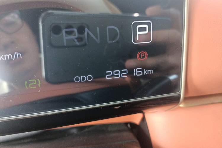 Used NETA X 2023 500 Lite Odometer Close Up