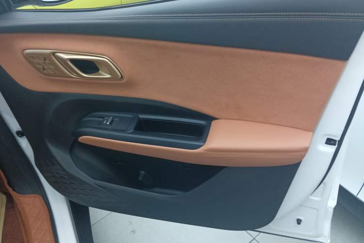 Used NETA X 2023 500 Right Front Door Interior