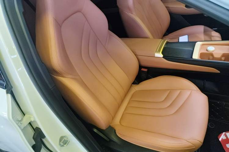 Used NETA X 2023 500 Lite Right Front Seat