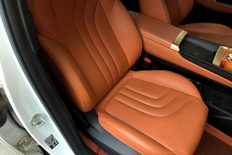 Used NETA X 2023 500 Lite Right Front Seat