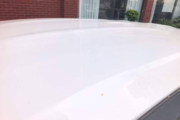 Used NETA X 2023 500 Lite Roof