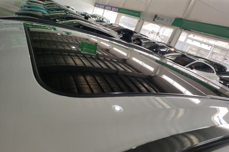 Used NETA X 2023 400 Roof