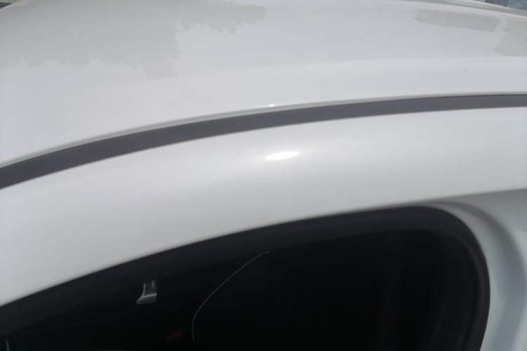 Used NETA X 2023 400 Lite Roof