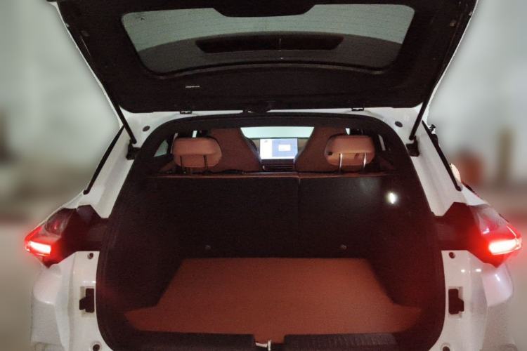 Used NETA X 2023 500 Lite Trunk