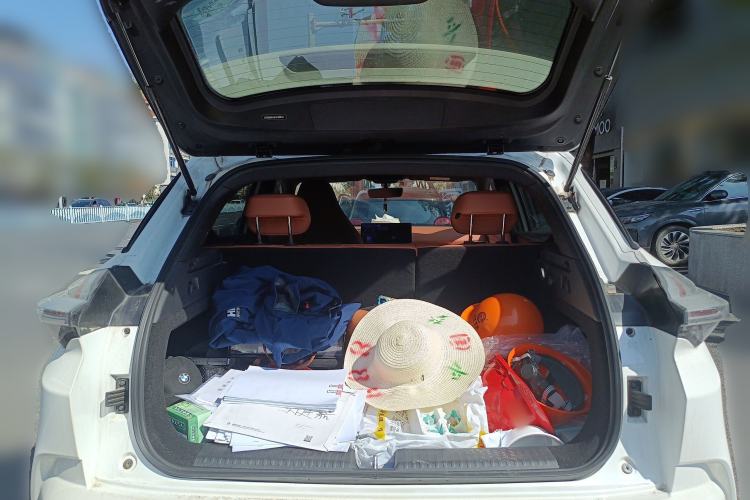 Used NETA X 2023 500 Lite Trunk