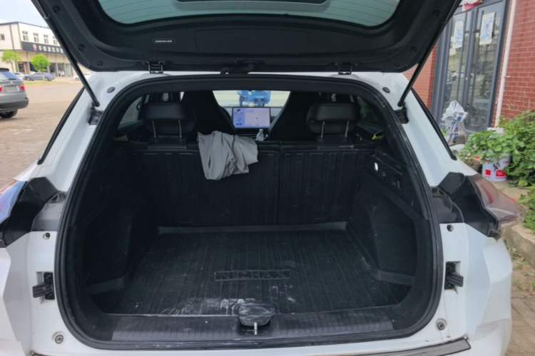Used NETA X 2023 500 Lite Trunk