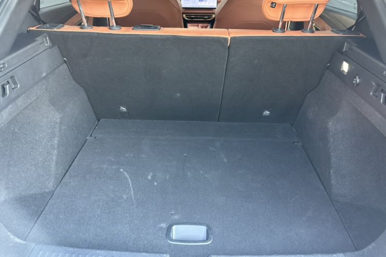 Used NETA X 2023 500 Lite Trunk