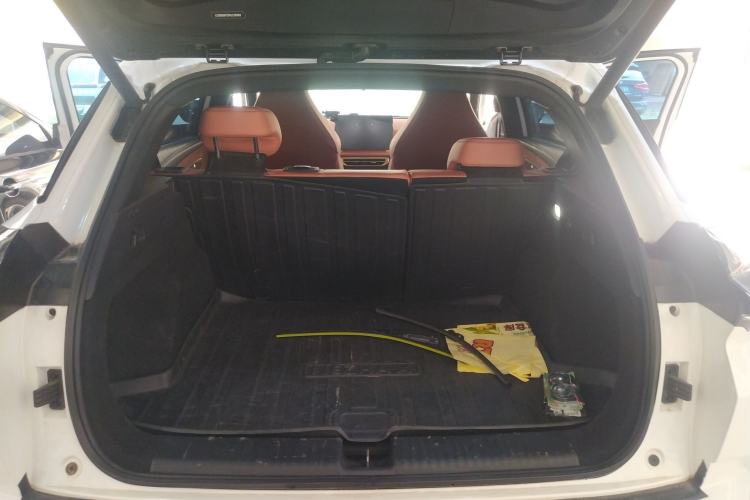 Used NETA X 2023 500 Trunk