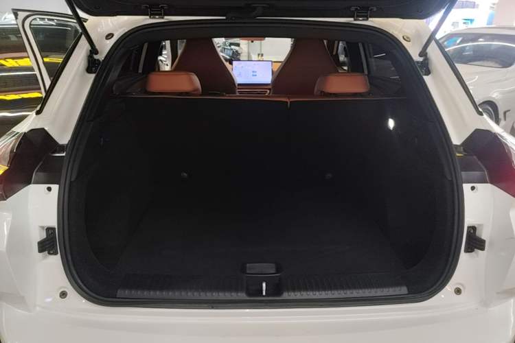 Used NETA X 2023 500 Lite Trunk