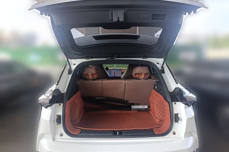 Used NETA X 2023 500 Lite Trunk