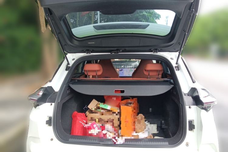 Used NETA X 2023 400 Lite Trunk