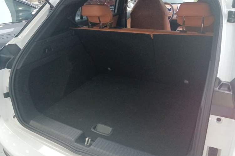 Used NETA X 2023 500 Trunk
