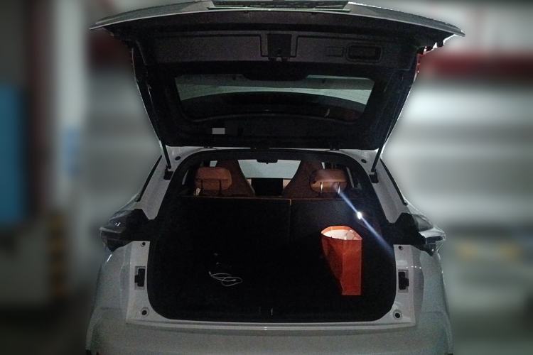 Used NETA X 2023 500 Lite Trunk