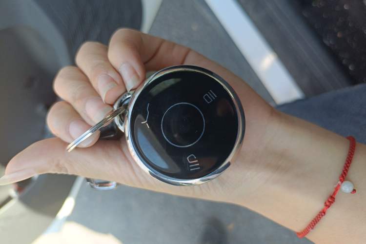 Used NETA X 2023 500 Lite Vehicle Key