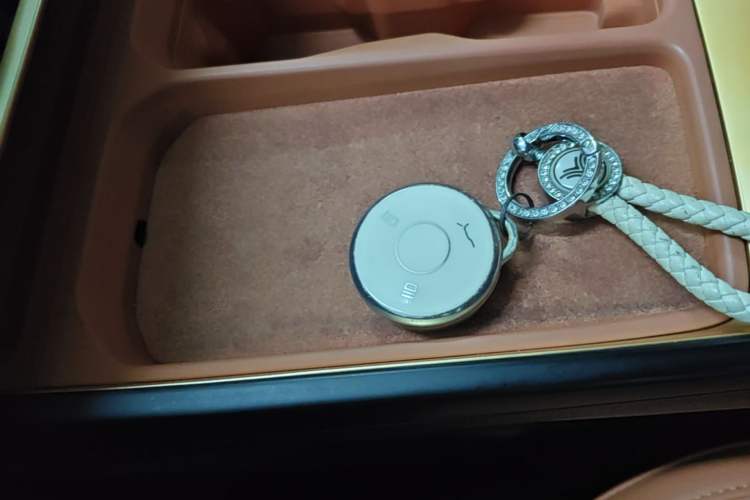 Used NETA X 2023 500 Vehicle Key