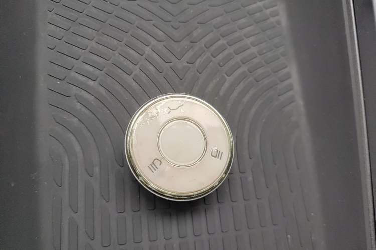 Used NETA X 2024 500 Prestige Edition Vehicle Key