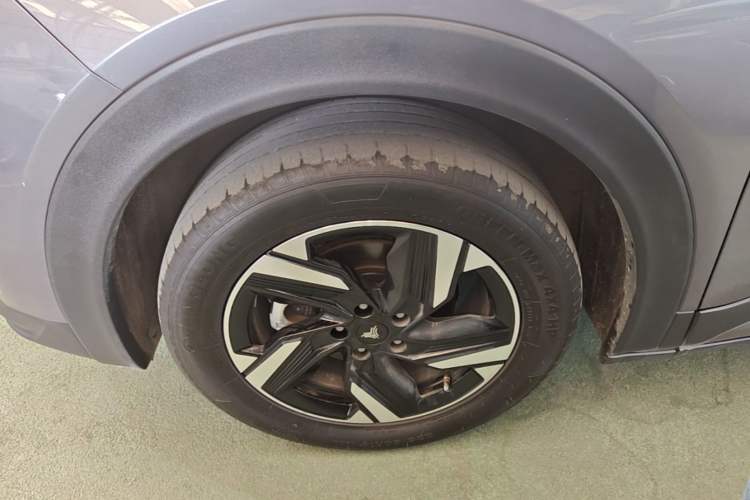 Used NETA X 2024 500 Prestige Edition Exterior 4