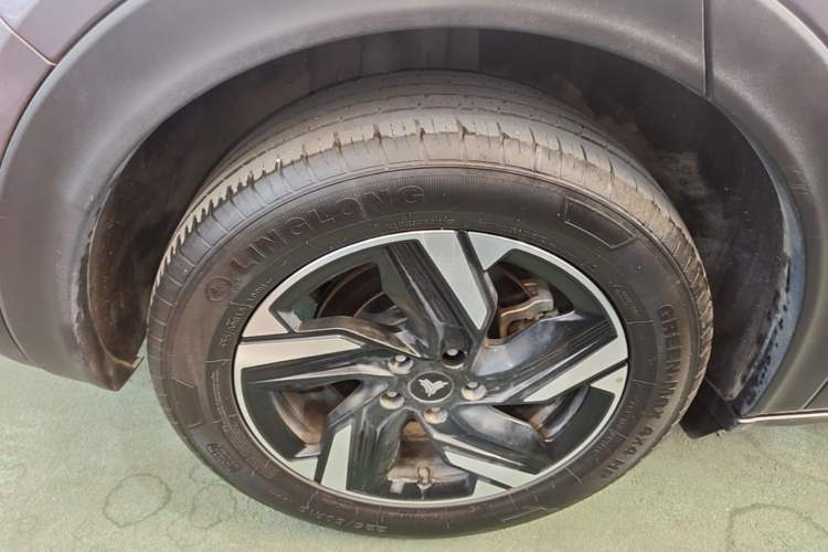 Used NETA X 2024 500 Prestige Edition Exterior 5