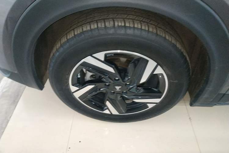 Used NETA X 2024 500 Prestige Edition Exterior 7