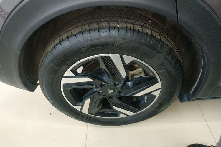 Used NETA X 2024 500 Prestige Edition Exterior 8