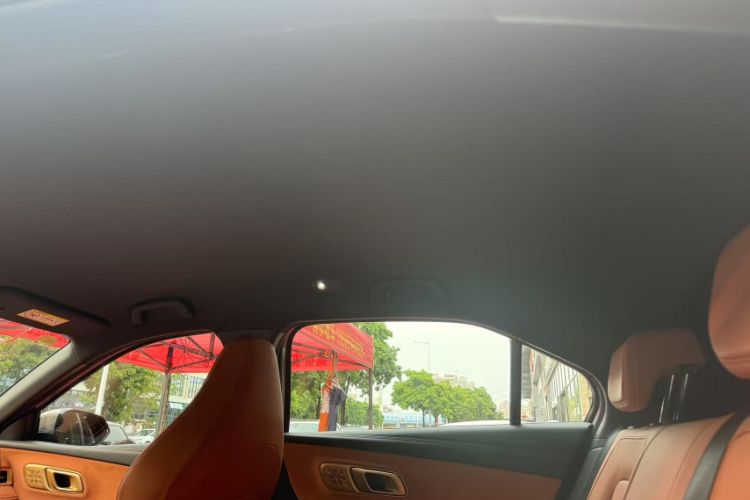 Used NETA X 2024 500 First Edition Headliner