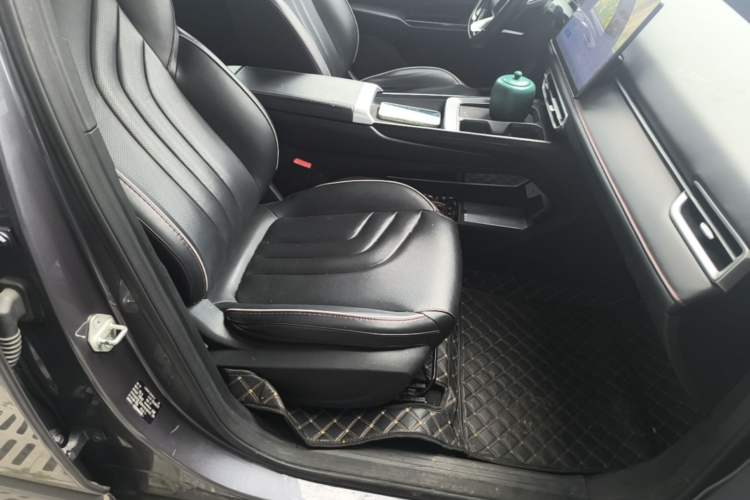 Used NETA X 2024 500 First Edition Right Front Seat