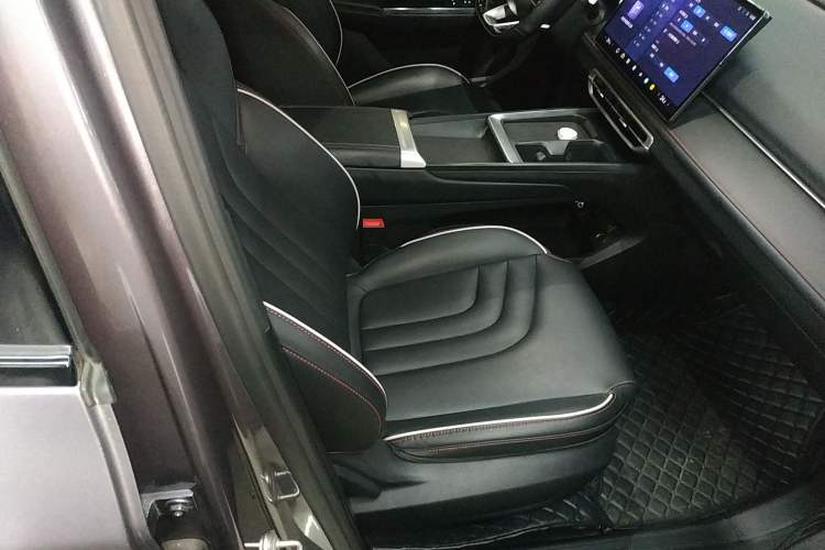 Used NETA X 2024 500 Prestige Edition Right Front Seat
