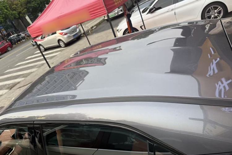 Used NETA X 2024 500 First Edition Roof