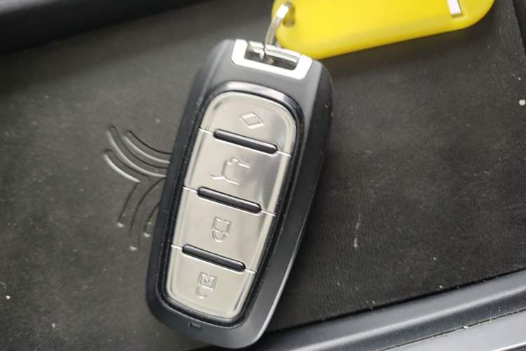 Used NETA X 2024 500 Prestige Edition Vehicle Key