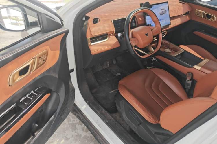 Used NETA X 2024 500 Prestige Edition Driver Seat